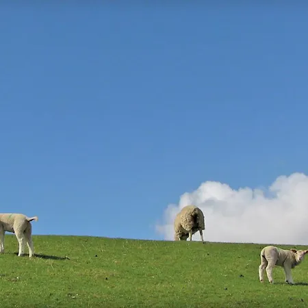 4 Bedroom Cozy In Casa de Férias *